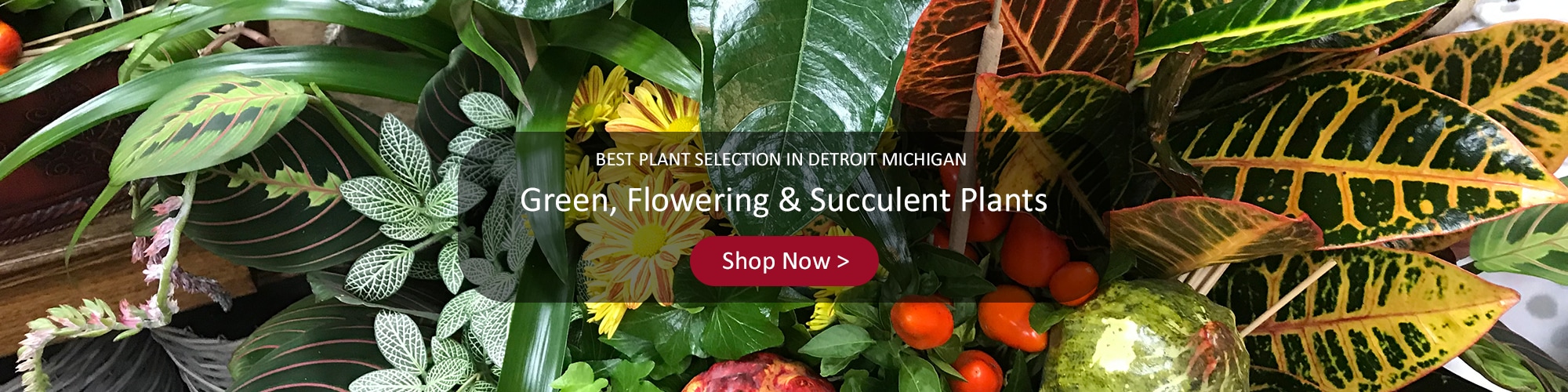 Southfield Florist Flower Delivery by Thrifty Florist